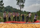 Polsek Dukupuntang Panen Jagung Pipil