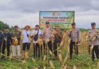 Kapolsek Depok Hadiri Panen Jagung Dukung Pangan