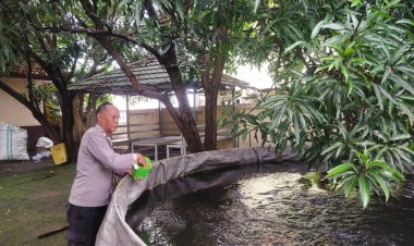 Polsek Sumber Tingkatkan Ketahanan Pangan Lewat Ikan Kolam Terpal